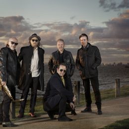 The Black Sorrows Are Back